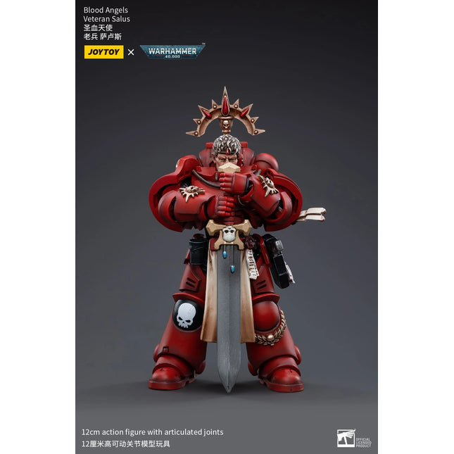 Warhammer 40K 1/18 Scale Blood Angels Veteran Salus