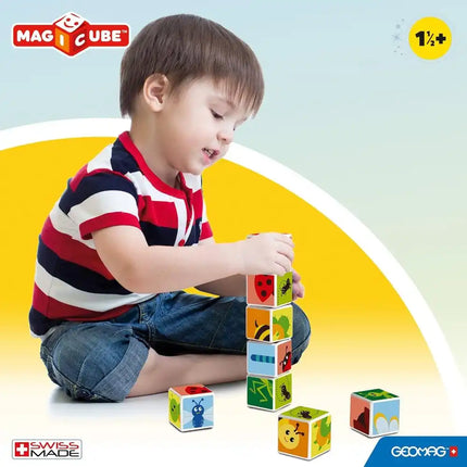 Geomag Magicube Insects