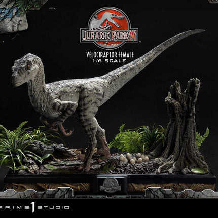 Legacy Museum Collection Jurassic Park III (Film) Velociraptor Female 1/6 scale Bonus Version  [Release date: 2025/08]