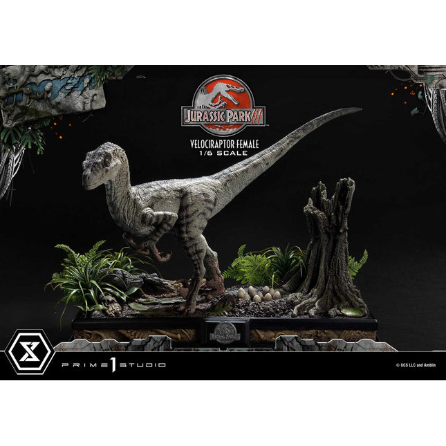 Legacy Museum Collection Jurassic Park III (Film) Velociraptor Female 1/6 scale Bonus Version  [Release date: 2025/08]