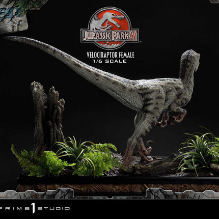 Legacy Museum Collection Jurassic Park III (Film) Velociraptor Female 1/6 scale [Release date: 2025/08]