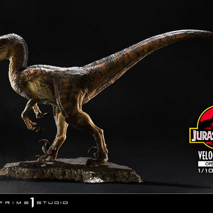 Prime Collectible Figures Jurassic Park (Film) Velociraptor Open Mouth [Release date: 2025/10]