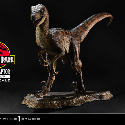 Prime Collectible Figures Jurassic Park (Film) Velociraptor Open Mouth [Release date: 2025/10]