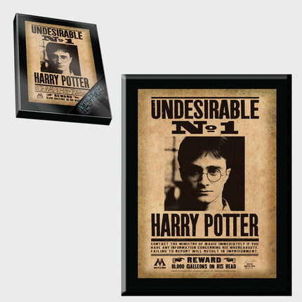 The Noble Collection - Harry Potter: Harry Potter Undesirable Plaque