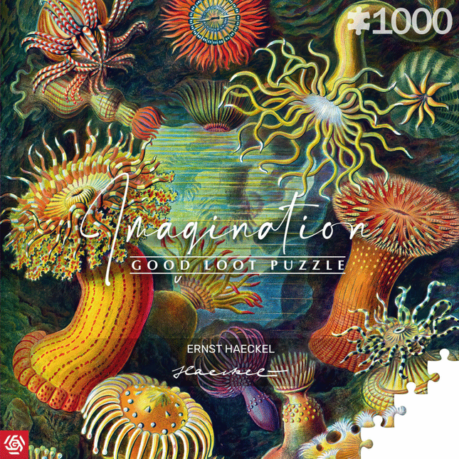 Good Loot - Imagination Puzzle: Ernst Haeckel Sea Anemones (1000 pieces)