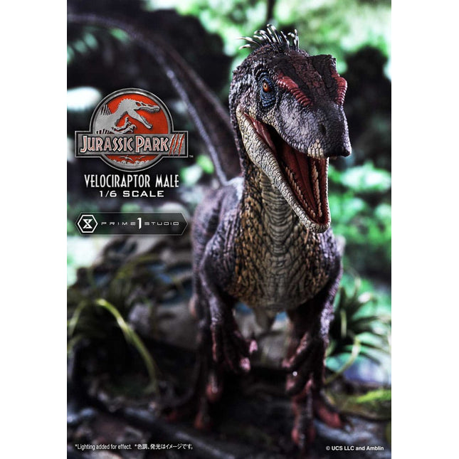 Prime 1 - Legacy Museum Collection Jurassic Park III (Film) Velociraptor Male 1/6 scale Bonus Version