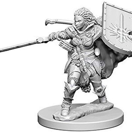 PATHFINDER DCUM HUMAN FEMALE PALADIN