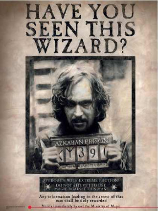 HAVE YOU SEEN THIS WIZARD SIRIUS GLASS POSTER 30x40 HARRY POTTER