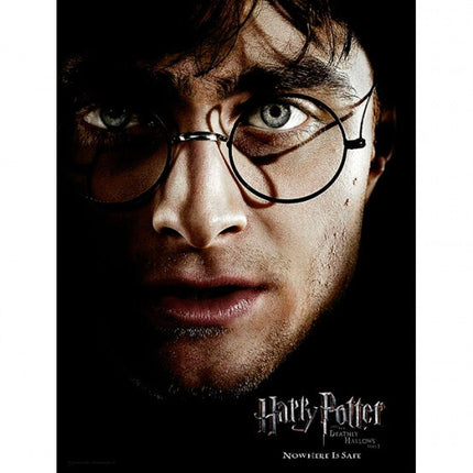 HARRY FACE GLASS POSTER 30X40 HARRY POTTER