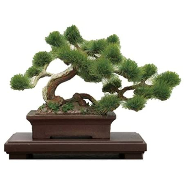 The Bonsai 1/12 Scale Plastic Model Kit 1