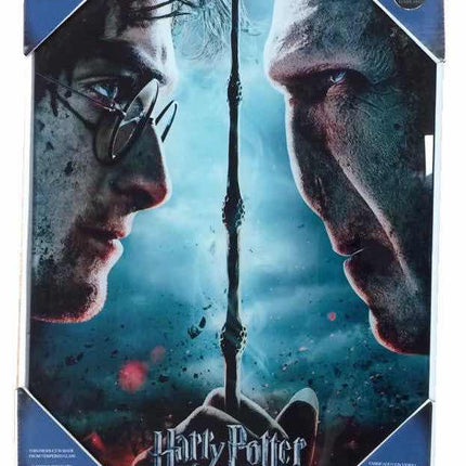 HARRY POTTER AND VOLDEMORT GLASS POSTER 30x40