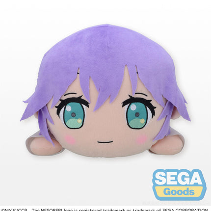 NESOBERI (Lay-Down) A Couple of Cuckoos MEJ Plush Hiro Segawa
